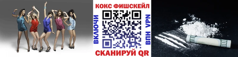 Купить закладки  Советск  COCAIN 98% 