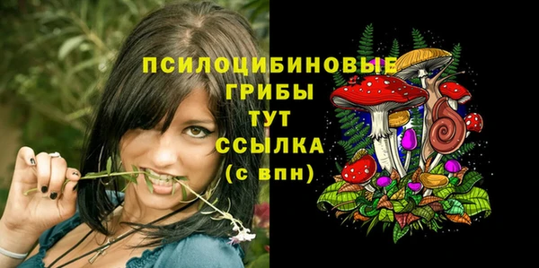 каннабис Дмитров