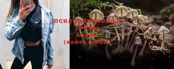 каннабис Дмитров